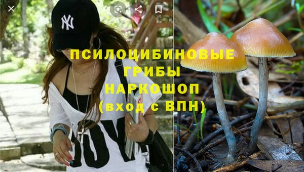 дурь Аркадак