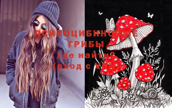 винт Алексеевка