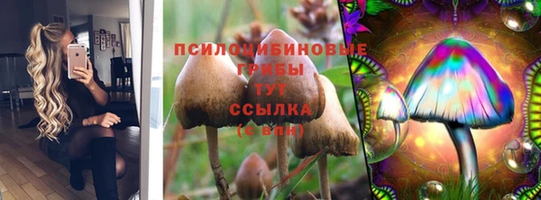 2c-b Арсеньев