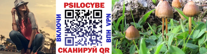 Псилоцибиновые грибы Psilocybe  Чудово 